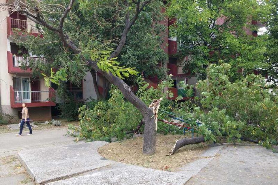 Dio stabla odlomio se i srušio na dječja igrala