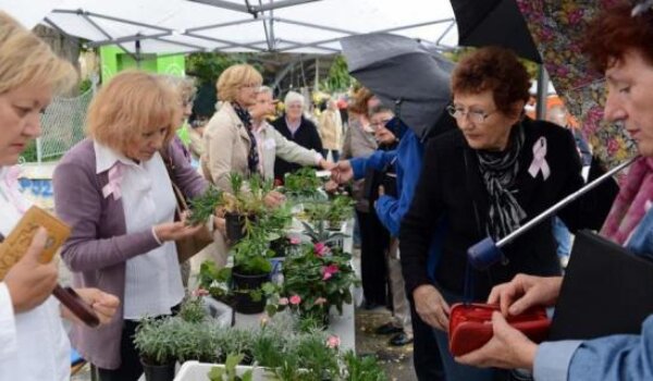 Od raka dojke u Istri godišnje umre 40 do 50 žena