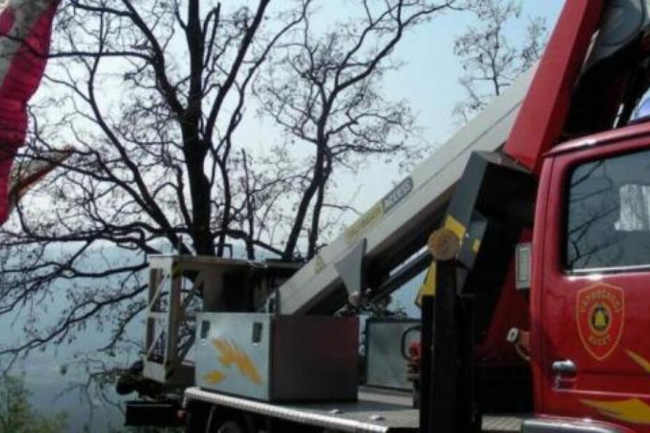 Ilustracija (G. ČALIĆ ŠVERKO)