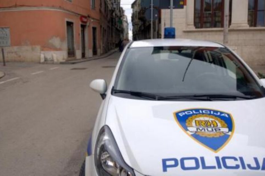 Ilustracija (M. SARDELIN)