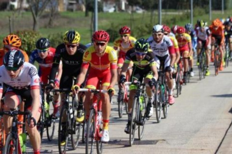 (M. GAVRAN/Ilustracija)