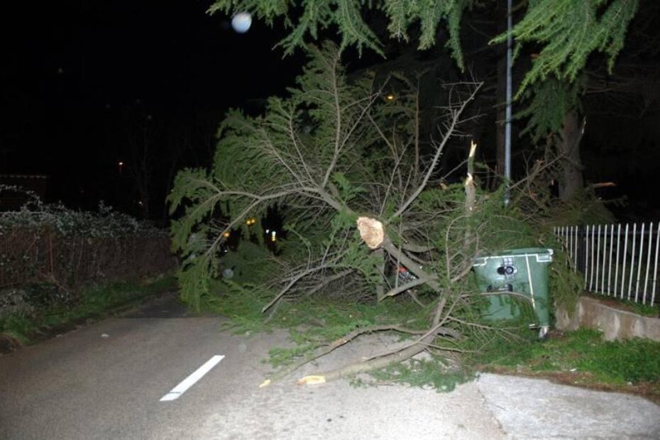 (Snimio Mateo SARDELIN)