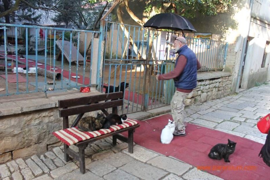 Željko Hanžek i njegove mačke u srijedu bi trebali biti deložirani