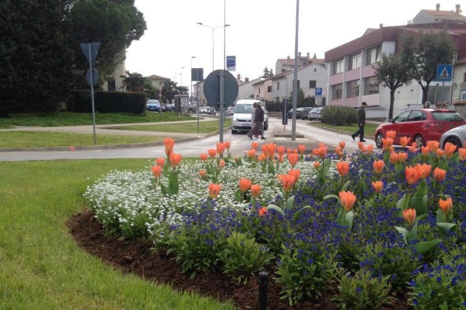 Komunalci uređuju gradsko zelenilo