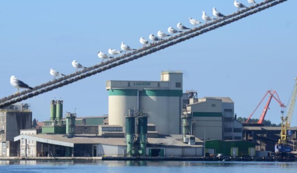 Pulsku cementaru kupio rođak suvlasnika Pirellija