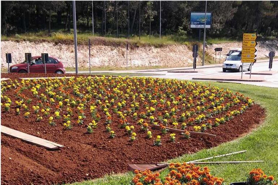 Kružni tok u Zelenoj laguni