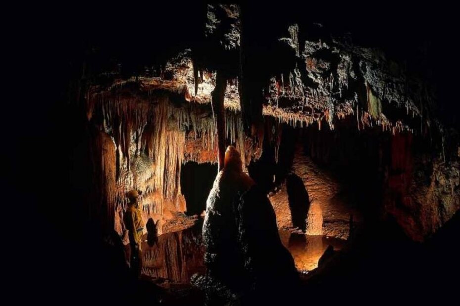 Jama Baredine (foto: službena web stranica)