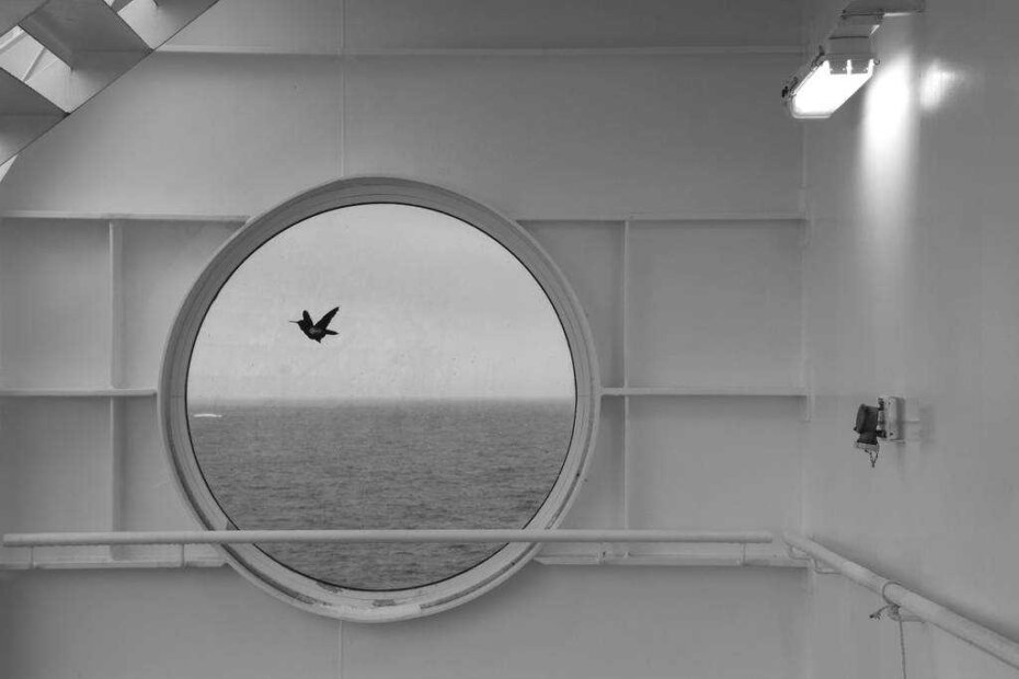 Petra Počanić - Ferryboat