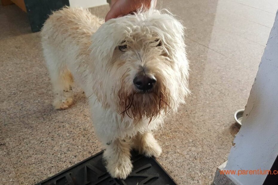 Jack je pronašao vlasnike