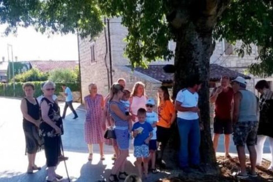 Mještani ispod stoljetne ladonje u VabrigiResize by dragging with the right mouse button.