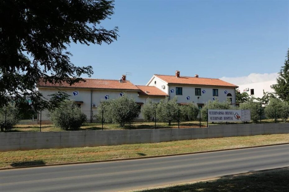 Mačke će biti zbrinute u azilu u sklopu Veterinarske bolnice Poreč (na fotografiji)