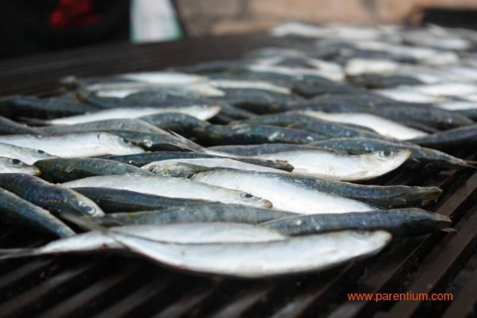 Ribarska fešta (ilustracija: to-porec.com)