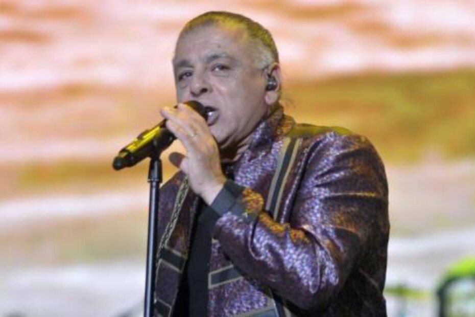 Parni valjak (D. MEMEDOVIĆ)