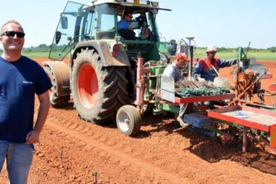 Aleksandar Bašić-Palković (N. LAZAREVIĆ)