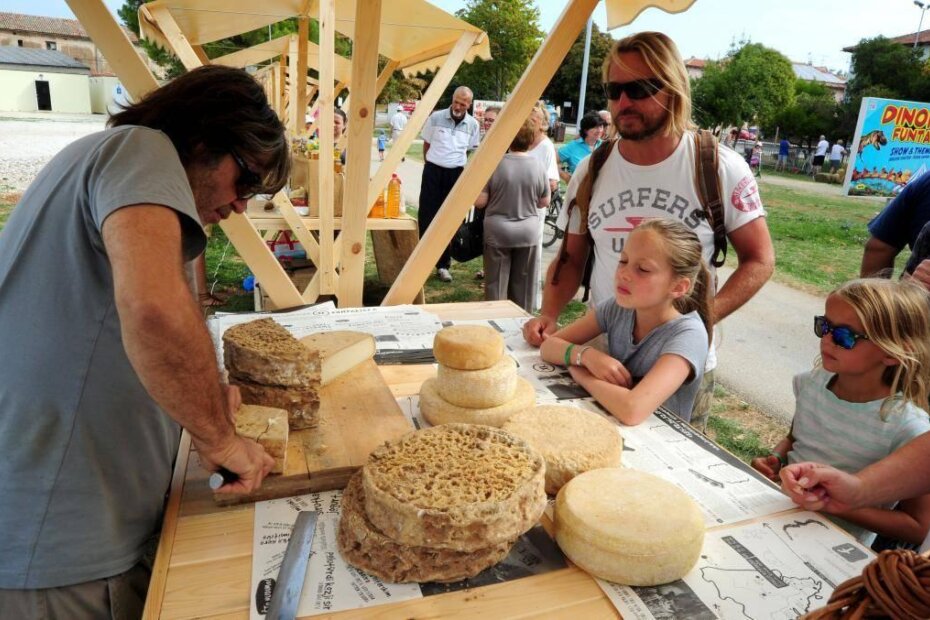 Ništa bez dobrog sira (M. MIJOŠEK)