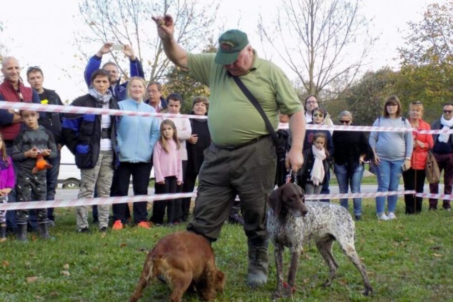 Pokazno traženje tartufa