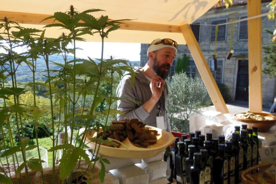 Festival industrijske konoplje (G. ČALIĆ ŠVERKO)