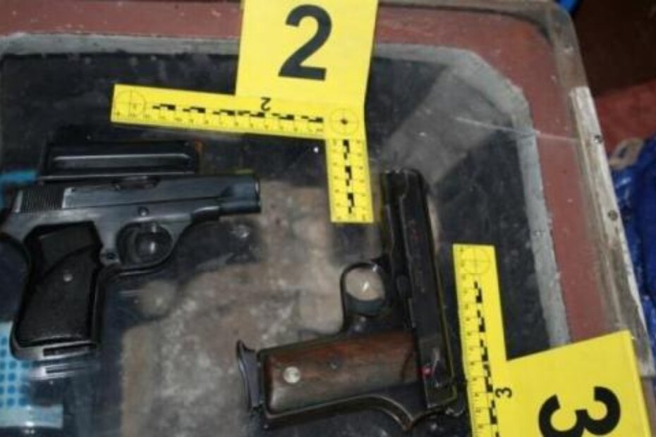 Pištolji nađeni kod 58-godišnjaka (PUZ)