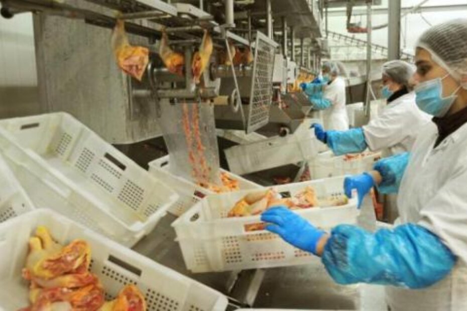 U pogonu radi 153 djelatnika, ali tvrtka ima problema s pronalaskom novih