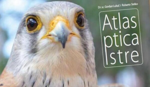Predstavljen 'Atlas ptica Istre'