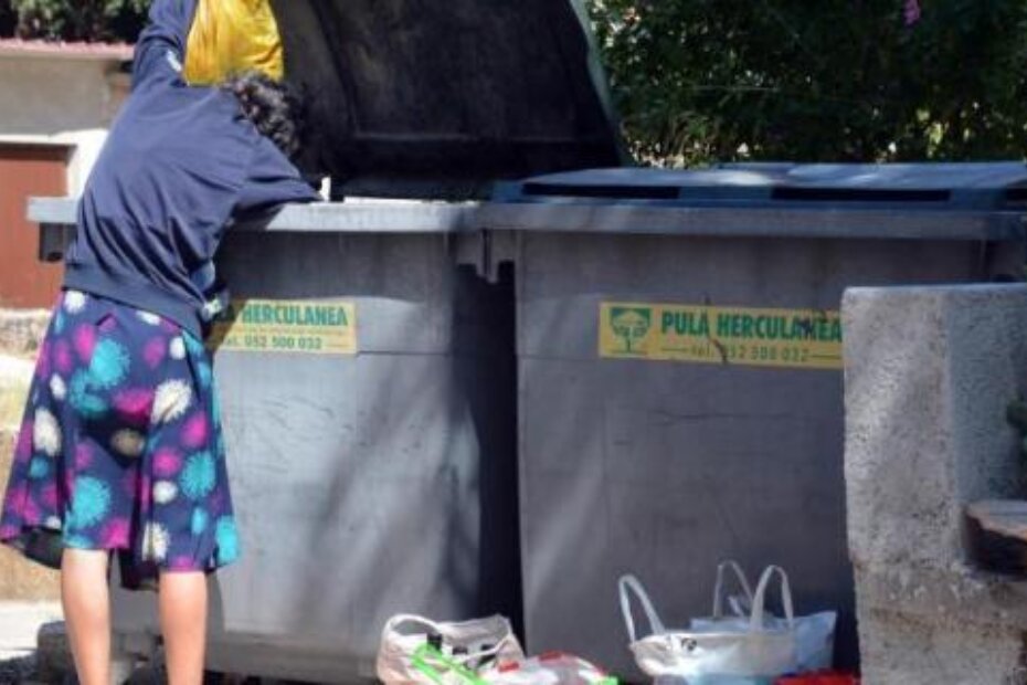 Ilustracija (N. LAZAREVIĆ)