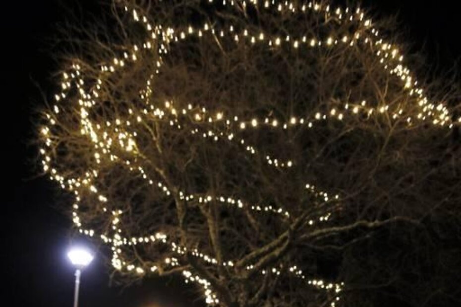 Nezavisna lista Snježane Mekote: ukrasiti sve mjesne odbore, ne samo centar grada