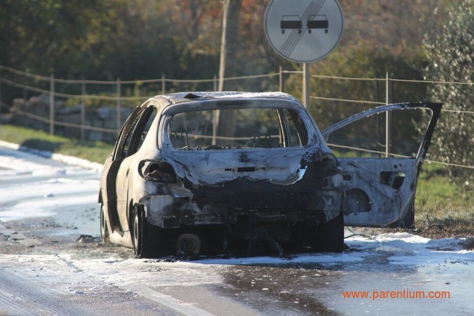 Na Stanciji Vodopija izgorjela Octavia, Golf oštećen (Foto: ilustracija)