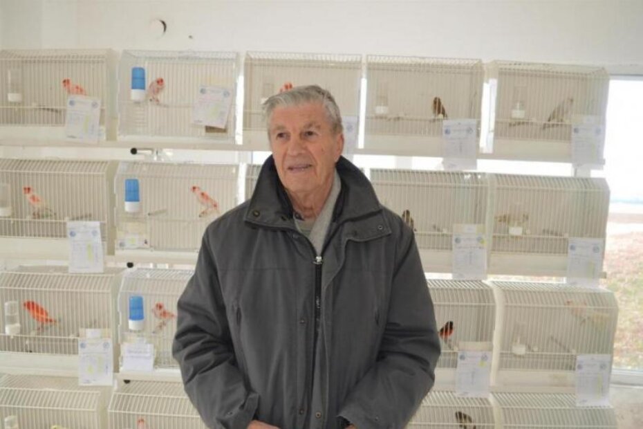 Oreste Miletić (A. ŠĆULAC)