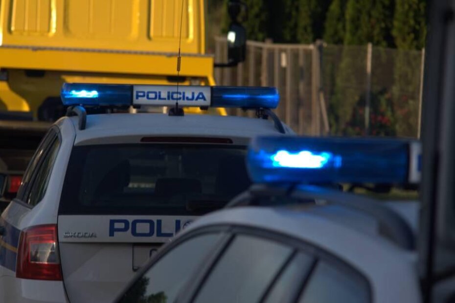 Alfom sletio s ceste pa udario u stablo (ilustracija, parentium.com)