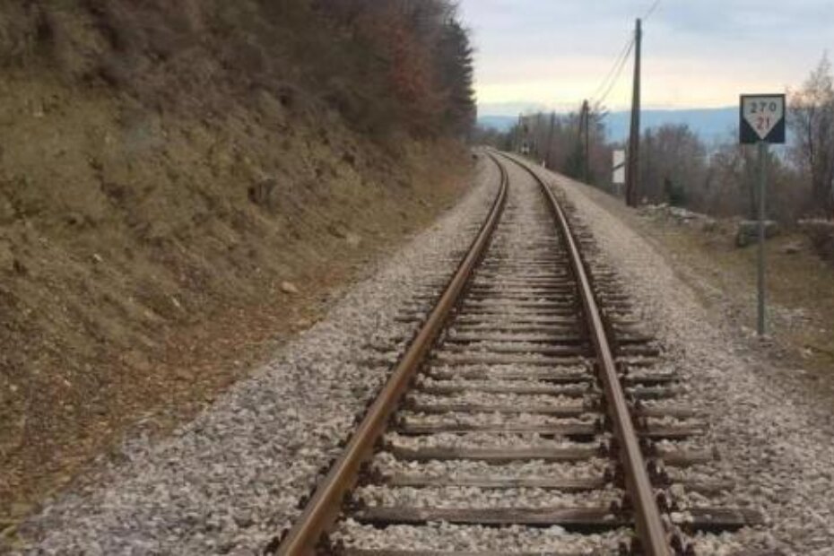 Ilustracija (G. PRODAN)