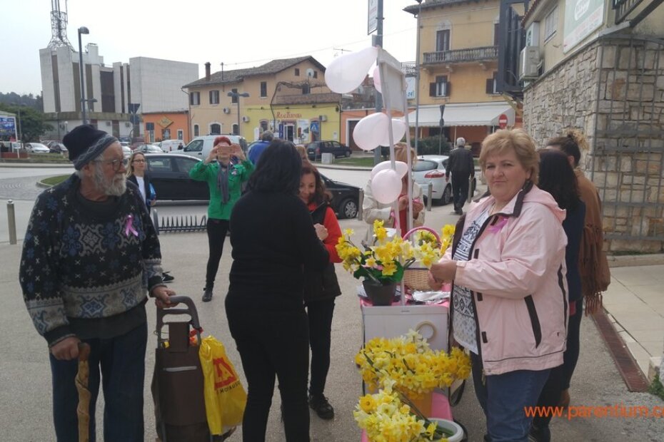 Narcisi kao simbol borbe protiv raka dojke