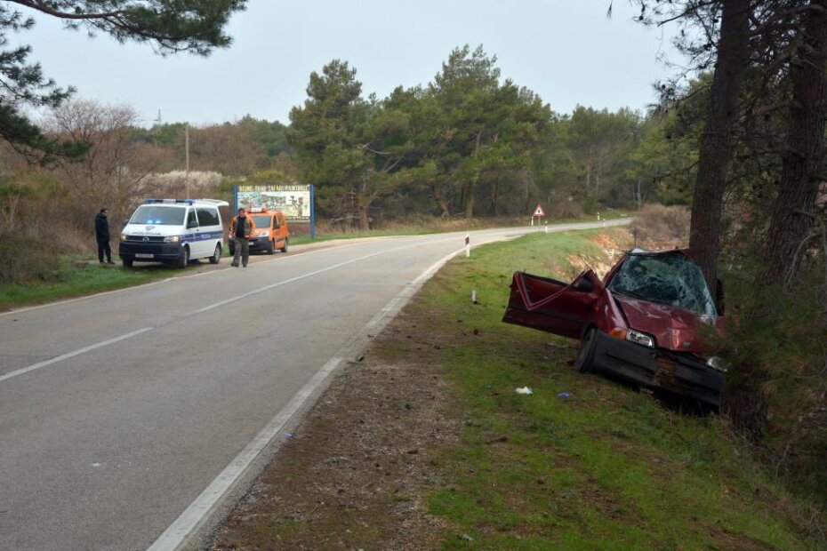 (N. LAZAREVIĆ, Glas Istre)