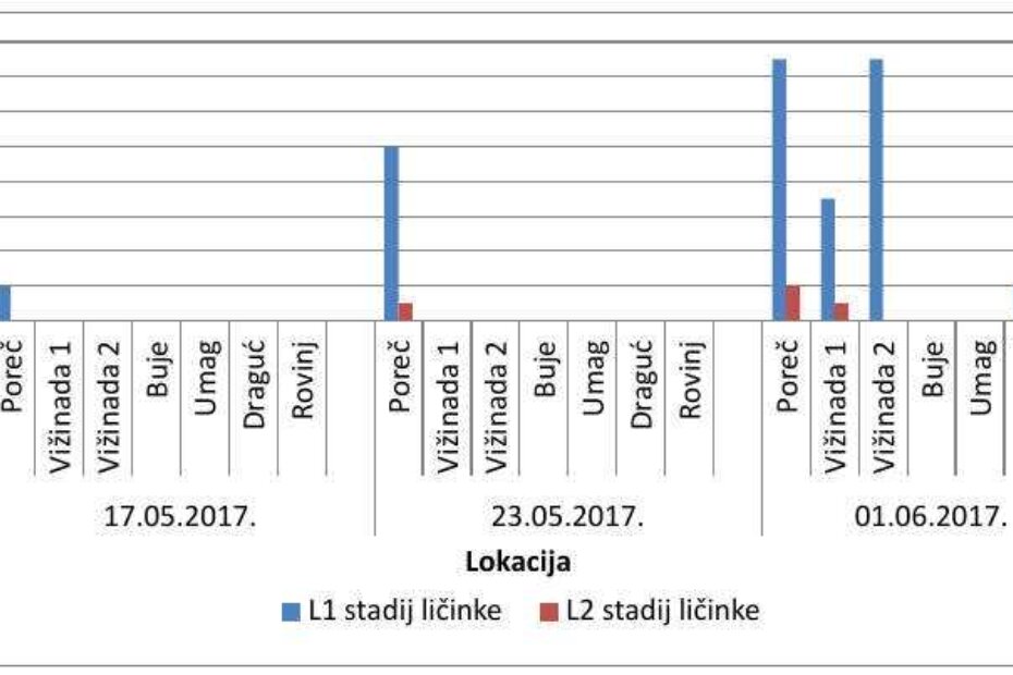 Stanje američkog cvrčka u vinogradima Istre zaključno do 1. lipnja 2017.