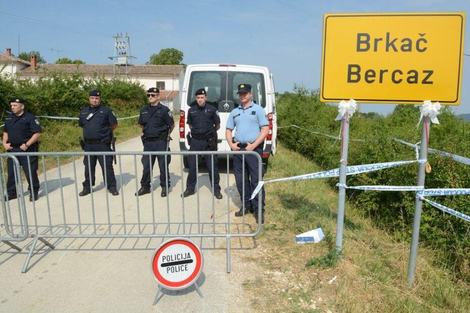 (D. MEMEDOVIĆ)
