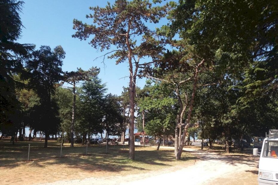 Površina na kojoj će i dalje biti moguće parkirati