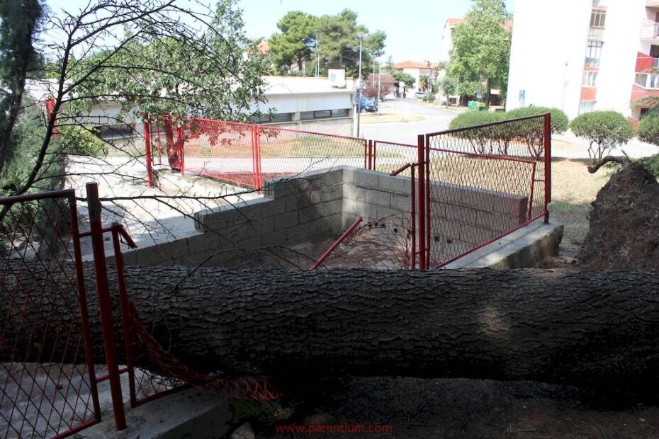 Jedno se stablo srušilo u dvorište zgrade Javne vatrogasne postrojbe Poreč