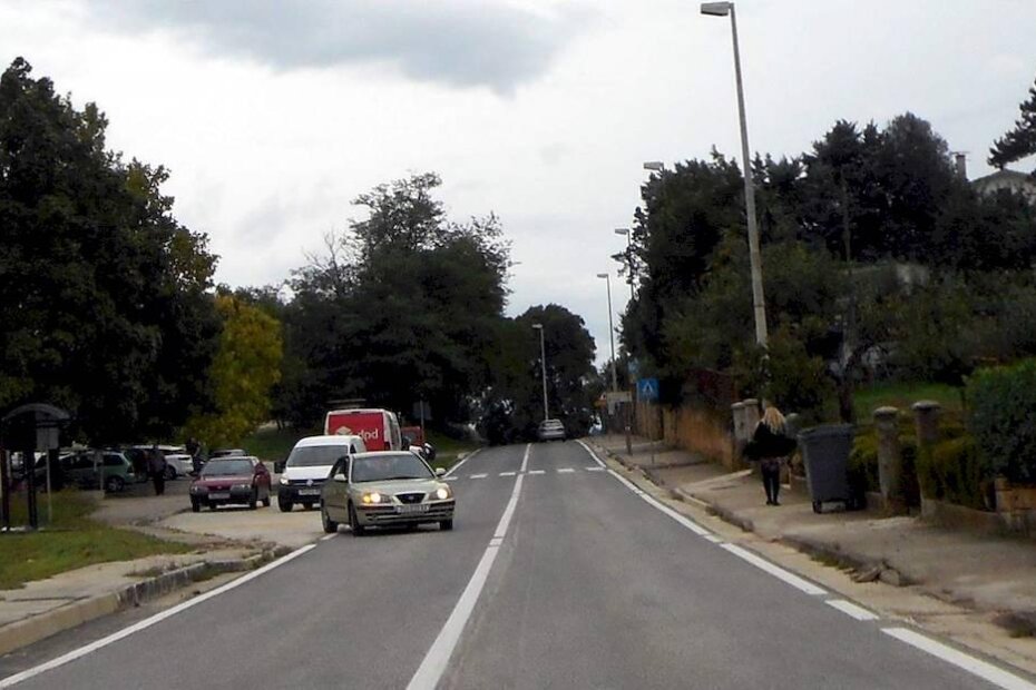 Incident se dogodio prošloga tjedna u Ulici istarskih narodnjaka u Pazinu (A. DAGOSTIN)