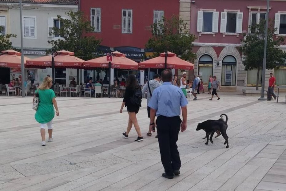 Uskoro će komunalnim redarima u pomoć priskočiti zaštitari