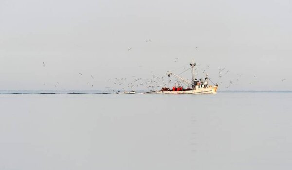 U Maloj galeriji izložba fotografija Renca Kosinožića 'Moje more'