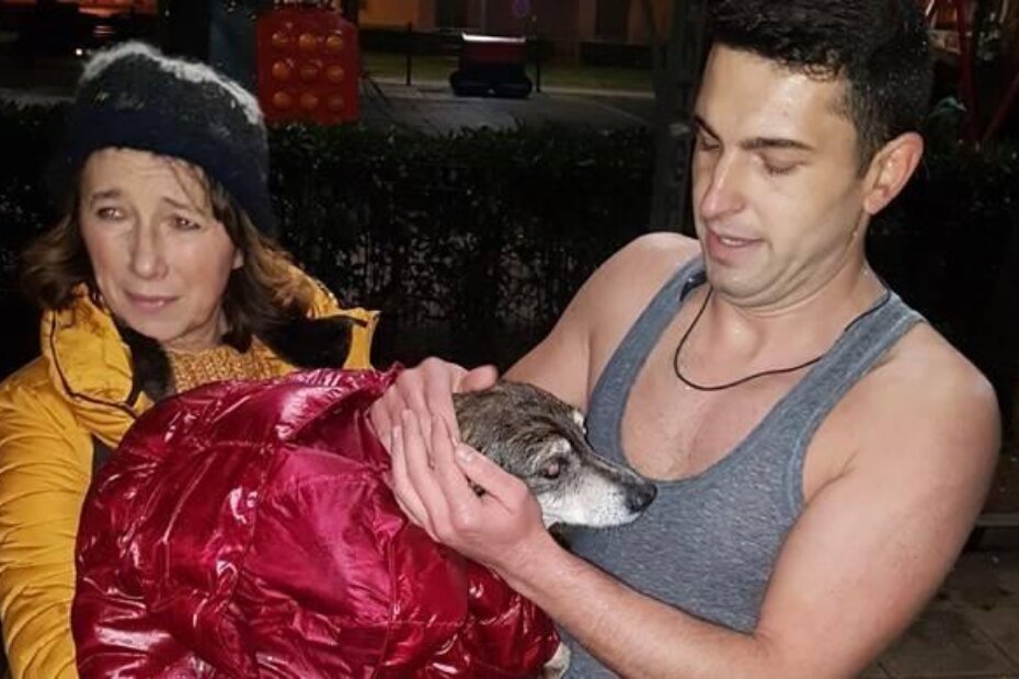 (Sendi Anet Đokić)