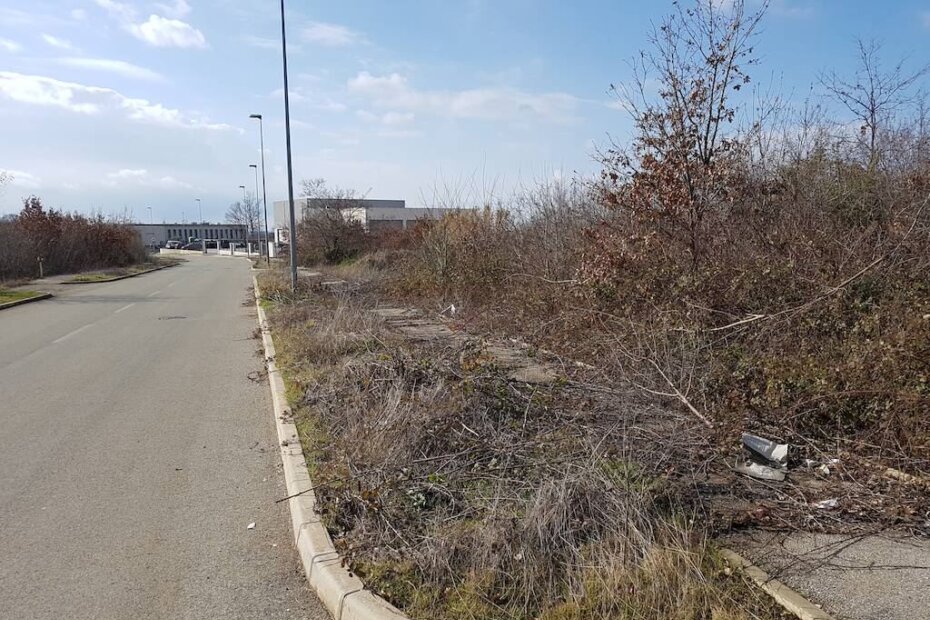 Pločnici i zelene površine obrasli korovom