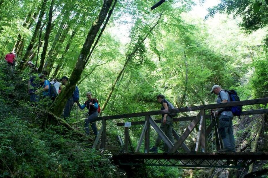 Izletnici na mostu u Malenici