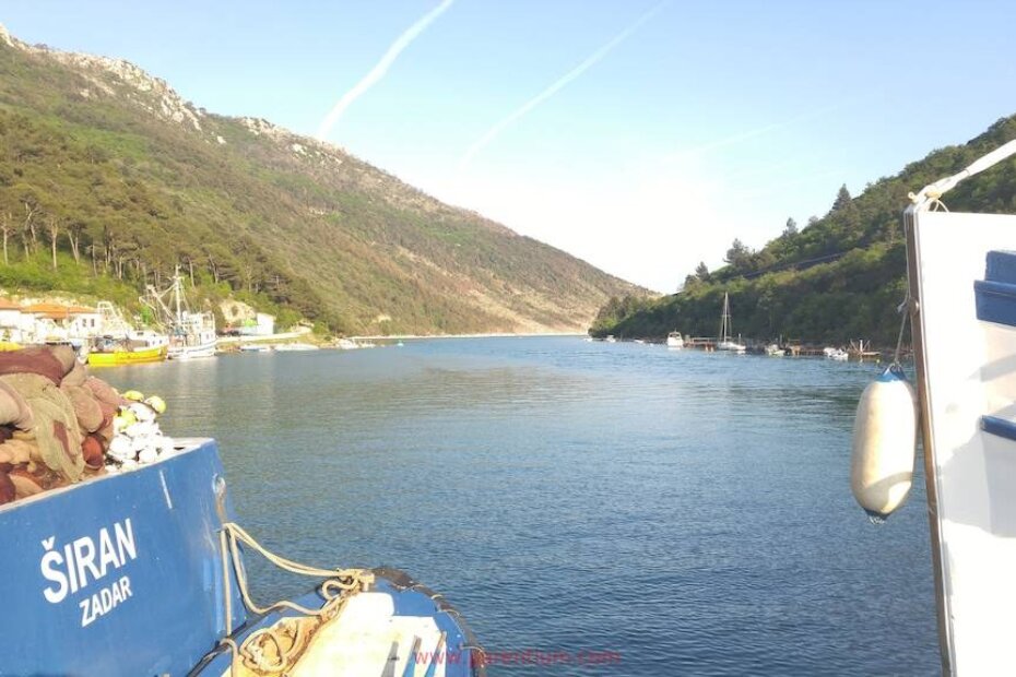 Luka Plomin (foto: arhiva)