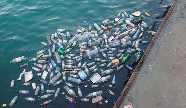 Kako preživjeti dan bez plastike - vikend akcija na otoku Cresu