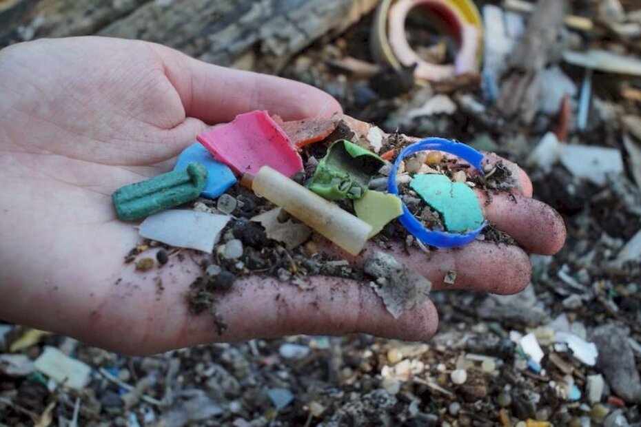 Foto: Hrvoje Šimić