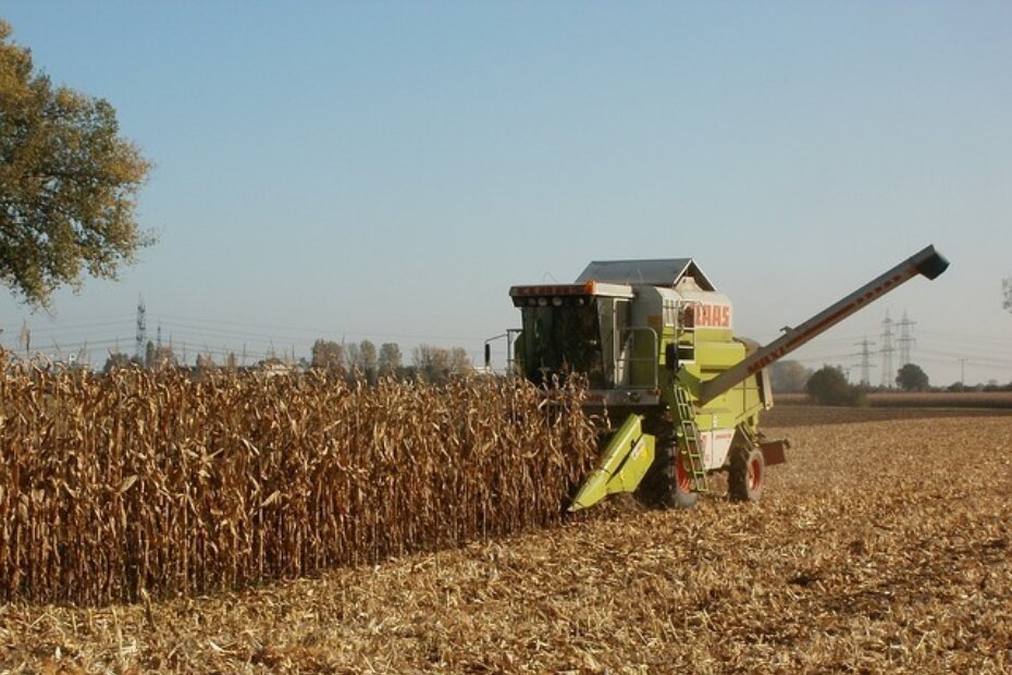 Ilustracija (Pixabay)