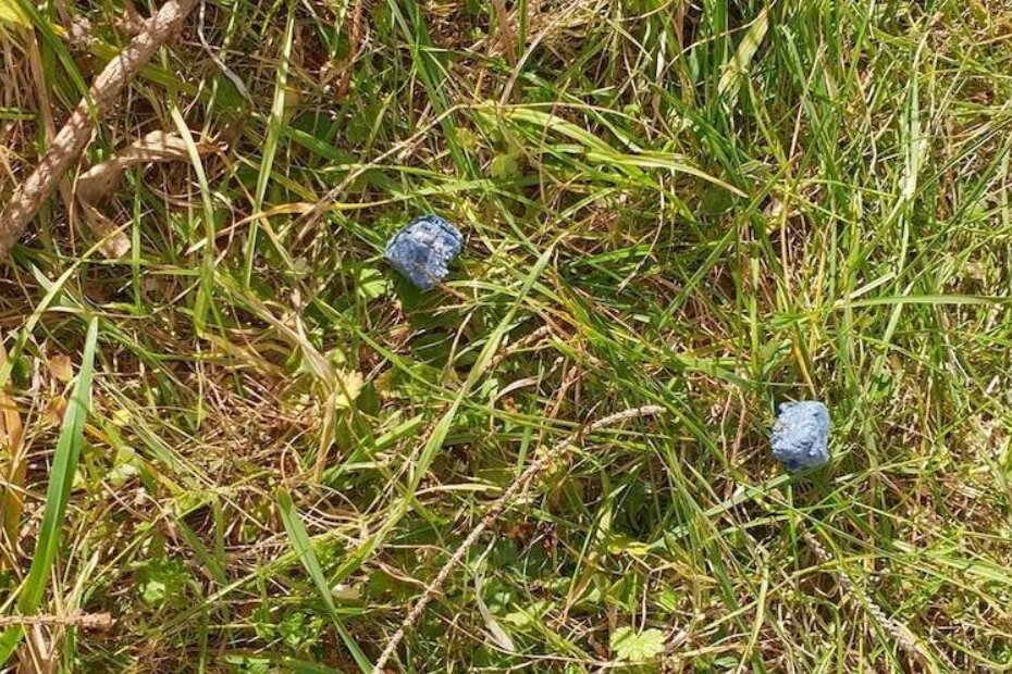 Plave kockice koje, prema riječima naše čitateljice, predstavljaju otrov