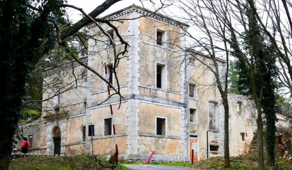 Kontija, Vrsar i Funtana: Čarobna šuma i vinska prostranstva