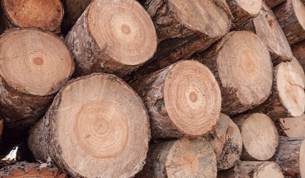 Nesreće na radu u pilani kraj Tinjana