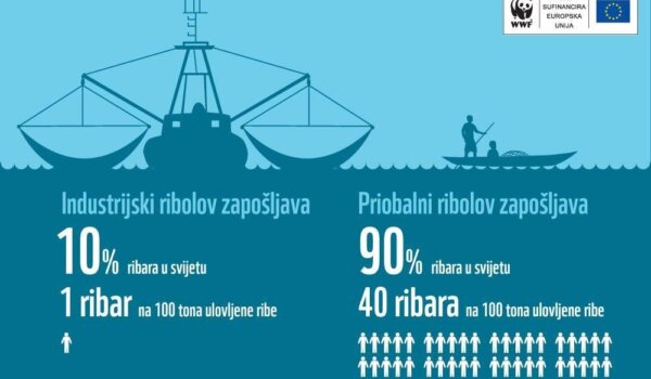 Uskoro bi nam se moglo dogoditi da nestane ribe koju možemo uloviti, uzgojiti i jesti